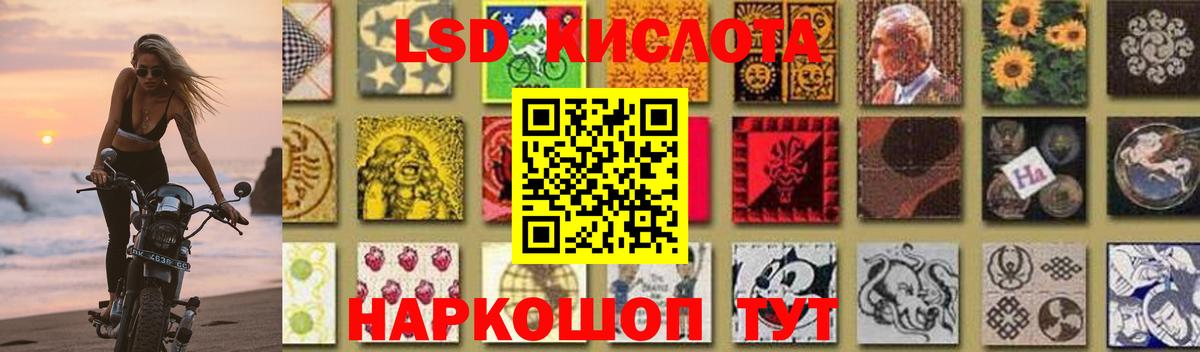 Псилоцибиновые грибы Воронеж